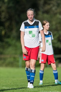 Bild 220 - wBJ VfL Pinneberg - Hamburger SV 2 : Ergebnis: 1:3